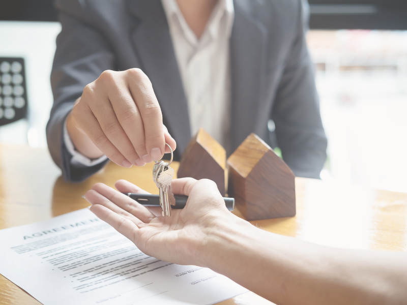 inmobiliaria